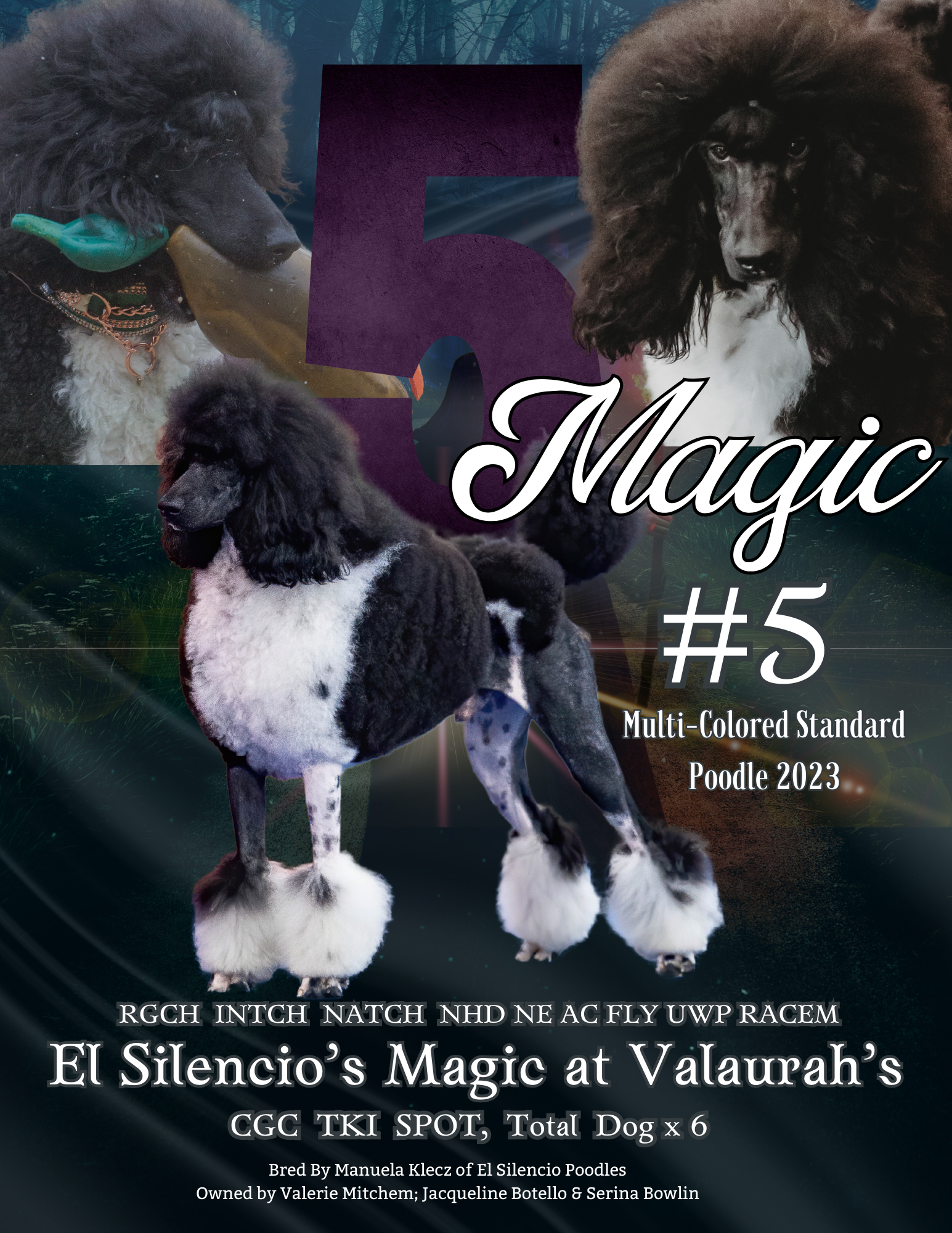 POODLE VARIETY  6冊セット Poodles - Jump! Inc.